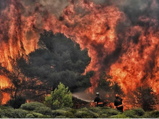 حريق "مادري" يلتهم 140 كلم² ويصبح الأكبر في كاليفورنيا هذا العام