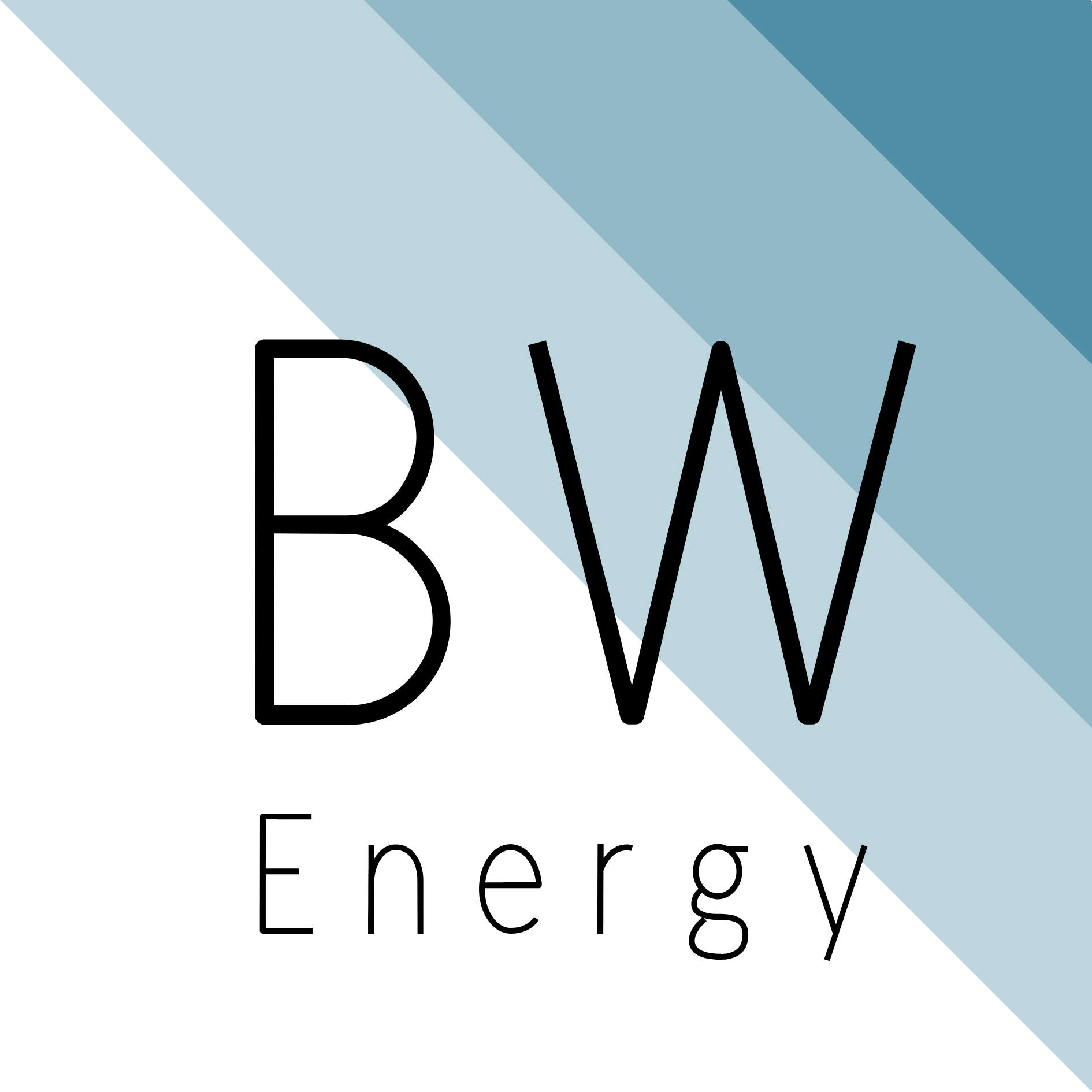 Bigwit Energy logo
