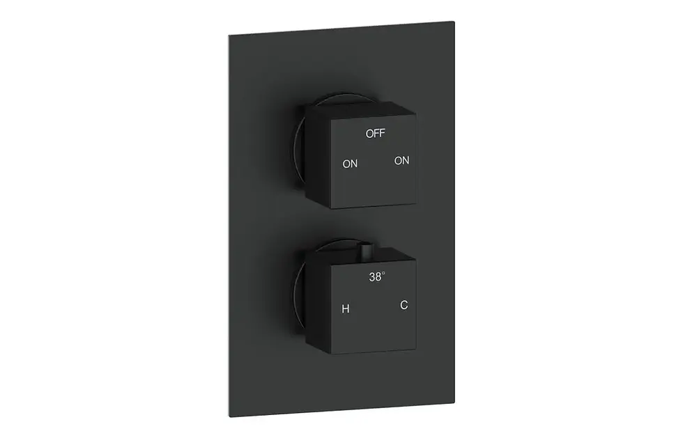 Thumbnail: Carrie Thermostatic Two Outlet Twin Concealed Shower Valve - Matt Black