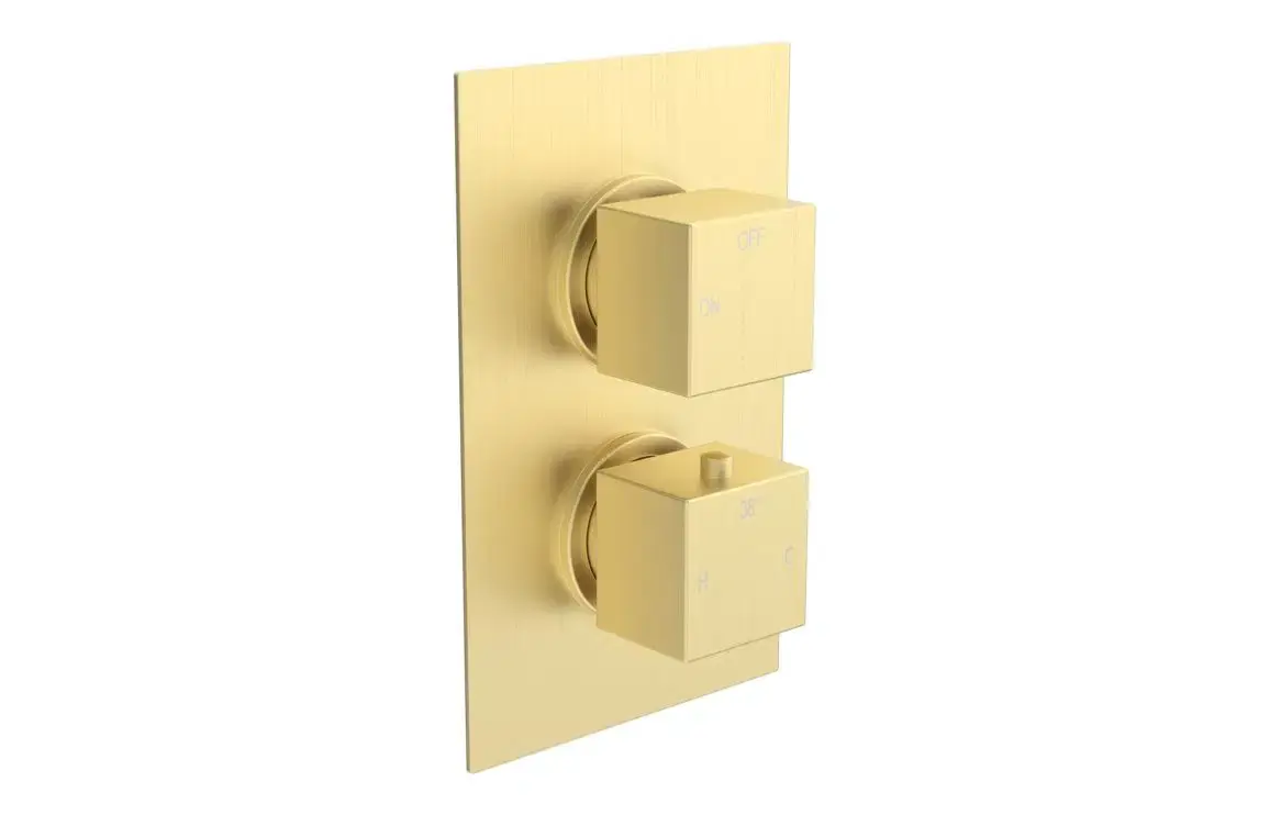 Cora Thermostatic Single Outlet Twin Shower Valve - Brushed Brass