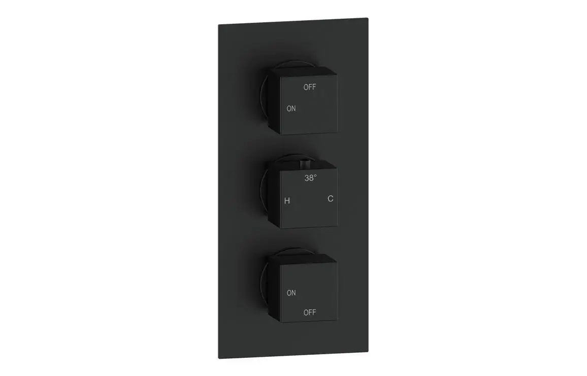 Cora Thermostatic Two Outlet Triple Shower Valve - Matt Black