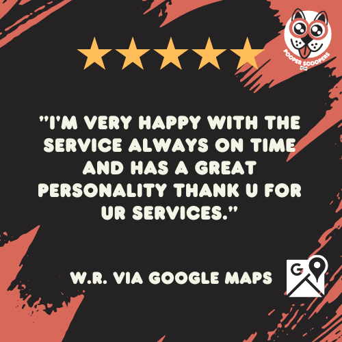 5-Star Poop Scooping Review