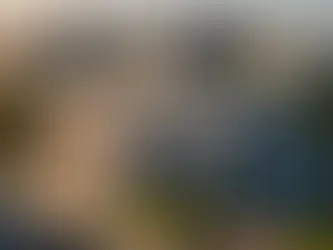 Uncovering the Potential: Can the IRS be Recycled for a More Efficient System?