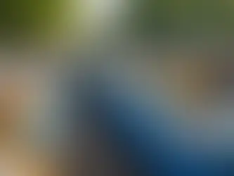 Unite for a Greener Tomorrow: How Recycling Efforts Can Turn Green into Gold for America!