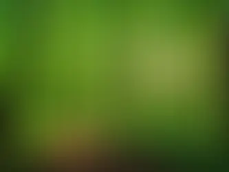 Exploring the Unknown: Can 'America First' also mean 'Making America Green Again'?