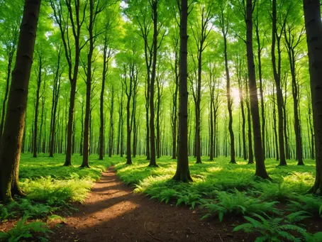 Exploring the Unknown: Can 'America First' also mean 'Making America Green Again'?