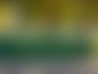 Exploring the Unknown: Will Elon and DODGE Venture into California's Recycling Program Next?