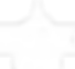logoBRG.png