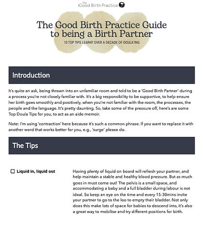 The Good Birth Practice Guide to Being a Birth Partner