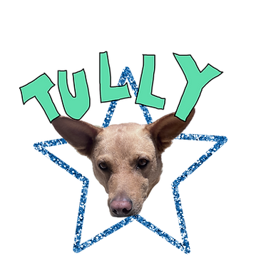 Tully