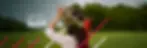 UP-Ago25-Homepage_149.jpg
