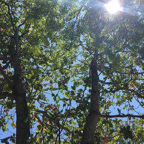 【"天の声" と 数多の世界の存在 ③】