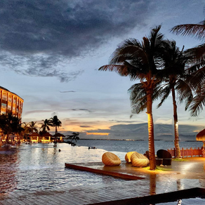 【2020年の1年の 感謝を込めて🌸】