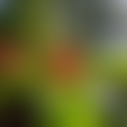 【神さまたちと繋がるにも段階がある】