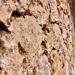 【新しく引越したお家を決めたその理由】