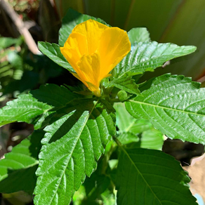 【失敗してもいいんだよ☺️✨】