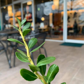 【 "使命" と "自分の心" の狭間で】