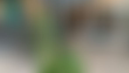 【 "使命" と "自分の心" の狭間で】