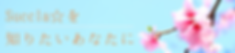 ๅ็งฐๆช่จญๅฎใฎใณใใผใฎใณใใผ (26).png
