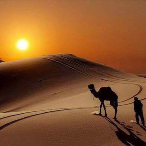 【 奇跡の妖精 🧚‍♀️🧚‍♂️ 砂のエンジェル👼】