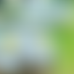 【"看取り"という家族を想う魂の愛💕】