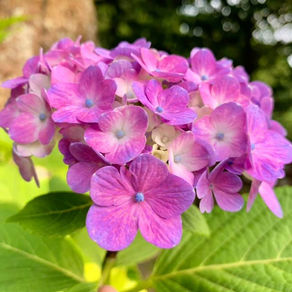 【ものごとの道】