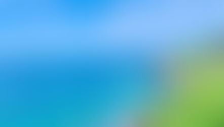 【 "本氣" だけが残る世界】