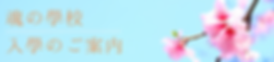 名称未設定のコピーのコピー (28).png