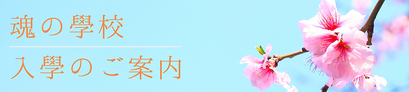 名称未設定のコピーのコピー (28).png