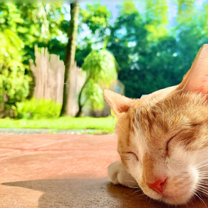 【寝ても覚めても "氣付き力" 】