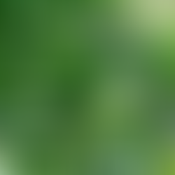 【 習慣の "徳" と "業" 】