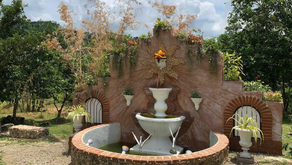 【ご先祖さまの繋がる想い ①】