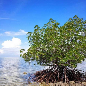 【化粧の先にある美しさ】