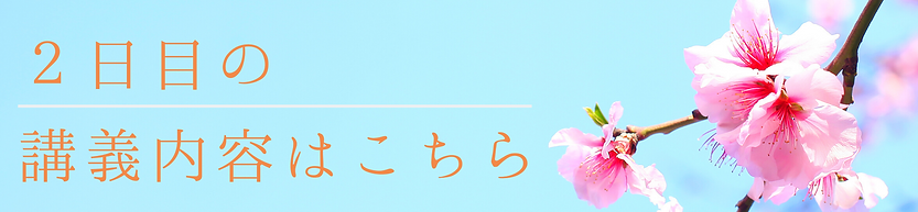 名称未設定のコピーのコピー (9).png
