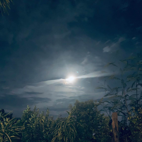 【今日はご先祖様のゲートが開く日🌕✨】