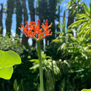 【強い信念の先にあるもの～青年のお話②】