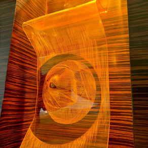 【大事なことは"今できること"ではない】