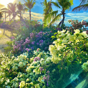 【人生の "宝物" はすぐそこにある】