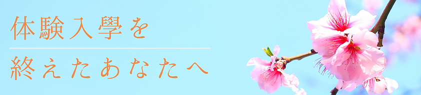 名称未設定のコピーのコピー (27).png