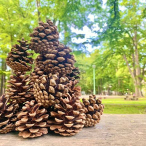 【自然と共に生きる】