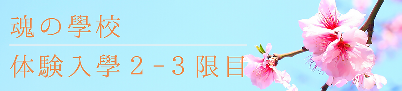 名称未設定のコピーのコピー (23).png