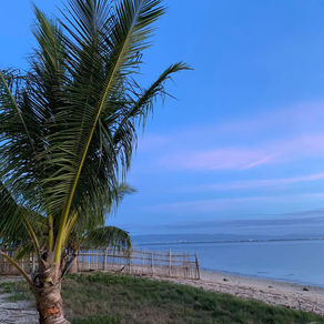 【感性と心の声】 