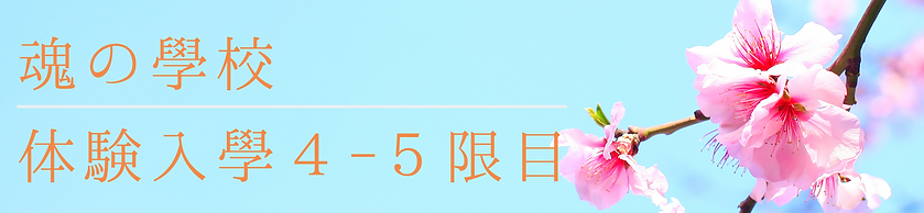 名称未設定のコピーのコピー (22).png
