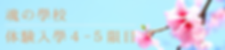 名称未設定のコピーのコピー (22).png