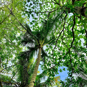 【 巡り巡る インフィニティ♾ 】