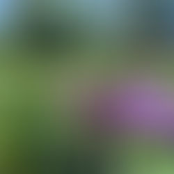 【すべてがあなたにちょうどいい】