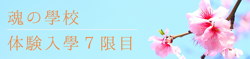 名称未設定のコピーのコピー (20).png