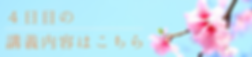 名称未設定のコピーのコピー (14).png