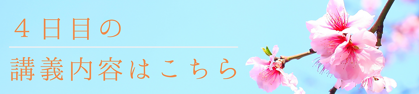 名称未設定のコピーのコピー (14).png