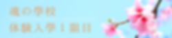 名称未設定のコピーのコピー (24).png